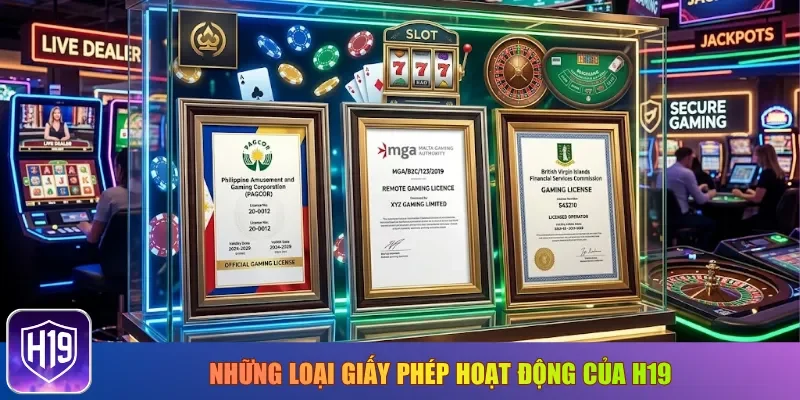 Những loại giấy phép hoạt động của H19
